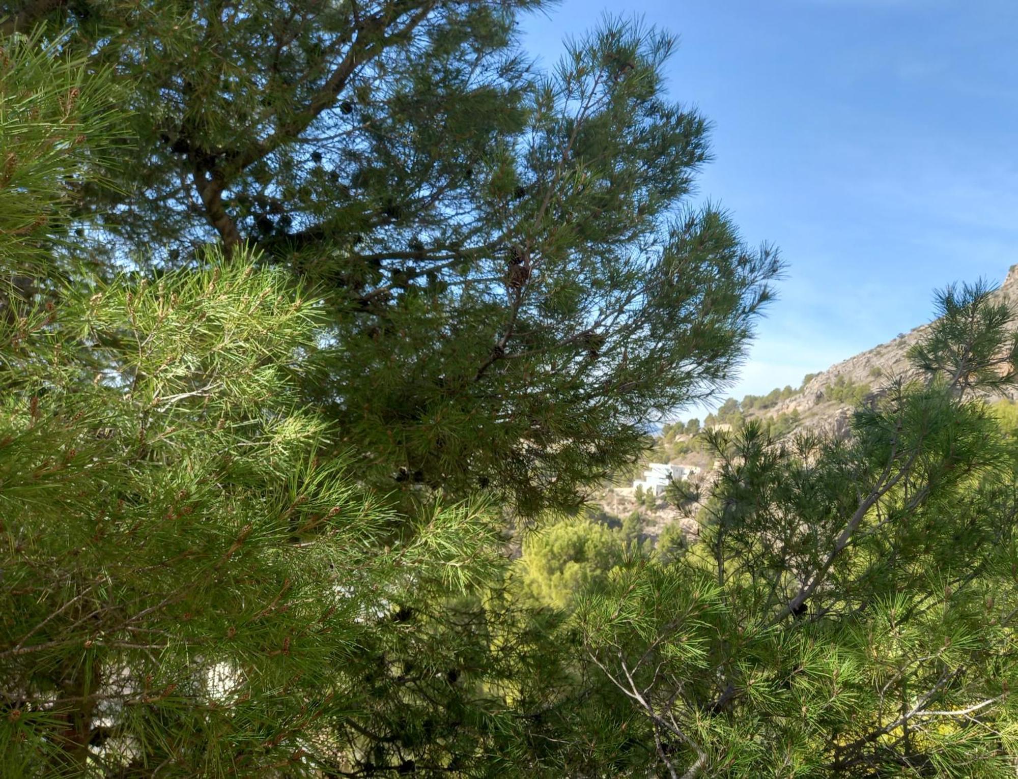 Townhouse Altea Hills Villa Buitenkant foto